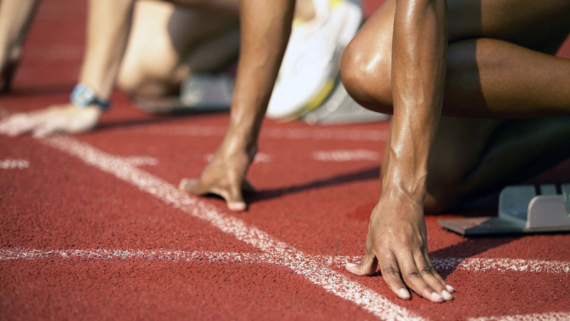 排球最新战报！日本队迎战阿根廷队，爆冷逆转，黑马强势击败劲敌