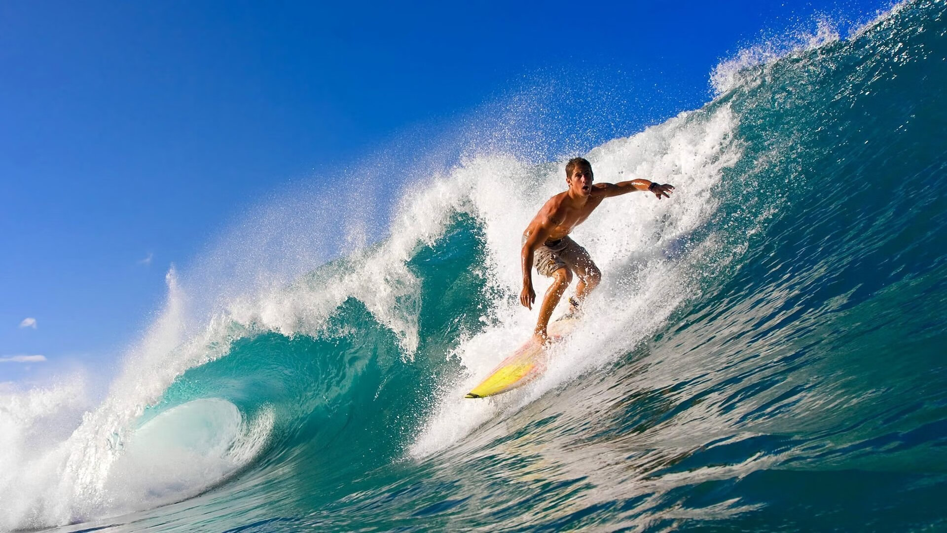 澳网八强战激情夜！萨拉赫里突外投，金州勇士横扫热刺